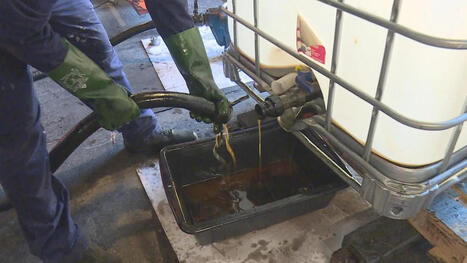 Transformer des huiles de cuisson en biocarburant, le pari de deux entrepreneurs r&eacute;unionnais | ITERG - Veille sectorielle | Scoop.it