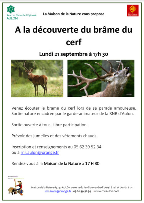 Ecoutez le brame du cerf à Aulon le 21 septembre | Vallées d'Aure & Louron - Pyrénées | Scoop.it
