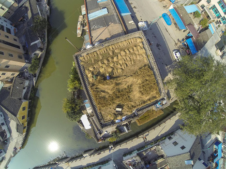 Un champs de riz sur le toit d'une maison | Chine | Scoop.it
