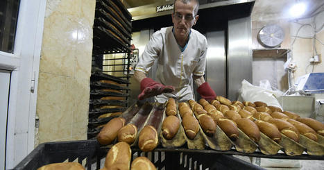 War in Ukraine tests ALGERIA’s wheat reserves amid inflation, drought | MED-Amin network | Scoop.it