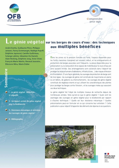 Le génie végétal sur les berges de cours d’eau : des techniques aux multiples bénéfices | Biodiversité | Scoop.it