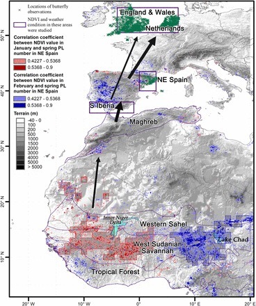 Des papillons battent le record de la plus longue migration d'insectes | Histoires Naturelles | Scoop.it