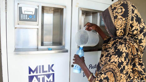 AFRICA: Milk producers embrace game-changing new tech | CIHEAM Press Review | Scoop.it