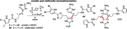 Unprecedented Biomimetic Homodimerization of Oroidin and Clathrodin Marine Metabolites in the Presence of HMPA or Phosphonate Salt Tweezers | Natural Products Chemistry Breaking News | Scoop.it