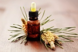 Quels extraits de bourgeons choisir pour soulager les maux de l'hiver ?   | La Cabane aux Arômes | Scoop.it