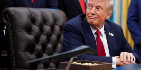 Trump team busted for using 'false' Law & Order plot to smear sex abuse victim: report - Raw Story | Operation Phobos | Scoop.it