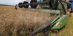 A la recherche de la Nouvelle Agriculture | Pour innover en agriculture | Scoop.it