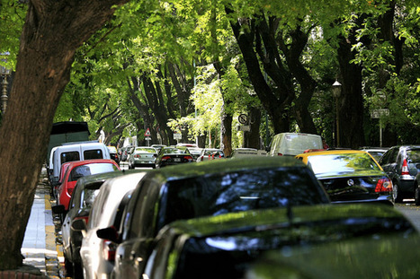 Per Square Mile: Urban trees reveal income inequality | Science News | Scoop.it