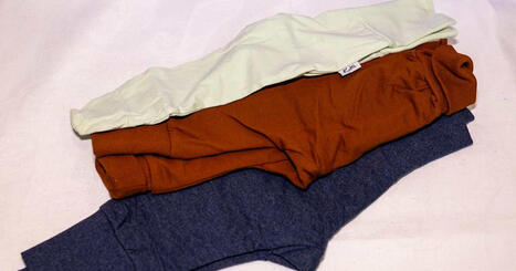 Maternity benefit rises as Finland updates baby box for newborns | Yle News | Yle | 1Uutiset - Lukemisen t&auml;hden | Scoop.it