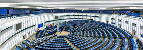 Avis relatif aux conséquences d’une peine d’inéligibilité assortie de l’exécution provisoire sur le mandat d’un représentant au Parlement européen | Droit électoral | Scoop.it
