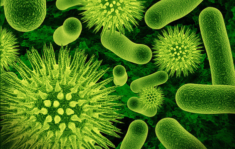 How bacteria kill themselves | Amazing Science | Scoop.it