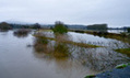 Endless rain has transformed the Severn valley | Nature Flash | Scoop.it
