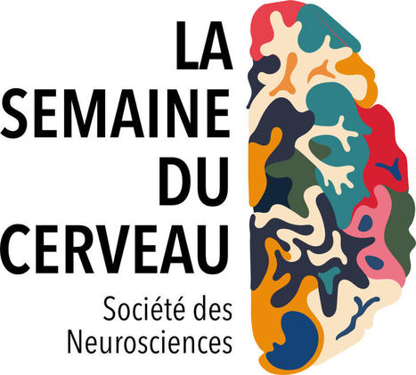 24ème édition du 14 au 20 mars 2022 | Santé au travail  - Santé et environnement | Scoop.it