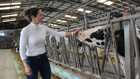 "Faire découvrir notre passion" : la Laiterie de Verneuil ouvre ses exploitations pour la Journée mondiale du lait | Revue de presse économique du Sud Touraine | Scoop.it