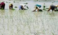 NGO hopes to benefit from failure | Failure and Learning | Scoop.it