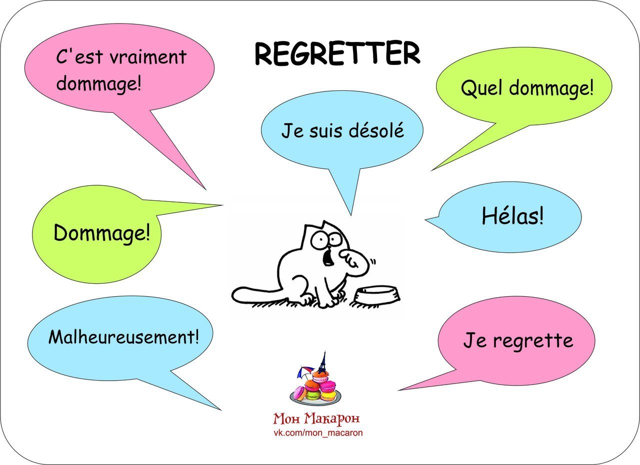 Regretter POURQUOI PAS... EN FRANÇAIS