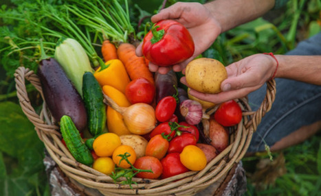 Alimentation responsable : tendances et perspectives | Elevage et société | Scoop.it