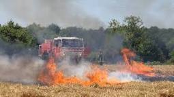 ALGERIE : Lancement d’une campagne nationale de sensibilisation sur les incendies de récoltes  | CIHEAM Press Review | Scoop.it