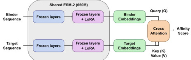 ProtAff: Protein Binding Affinity Prediction vi...