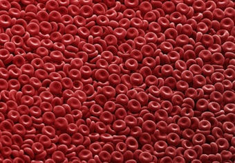 Japanese Scientists Created Universal Artificial Blood | Healthcare: reloaded... | Scoop.it