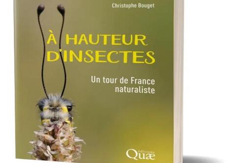 VERSAILLES : &Eacute;dition - Un tour de France naturaliste &agrave; la d&eacute;couverte des insectes | Vari&eacute;t&eacute;s entomologiques | Scoop.it