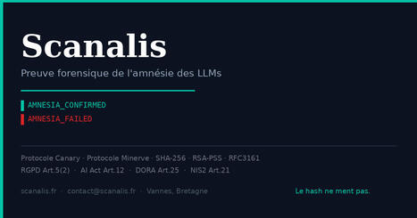 Audit forensique RAM des LLMs | France | Veille #Cybers&eacute;curit&eacute; #DCIT Conseil | Scoop.it