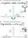 PLoS Pathogens: Short ORF-Dependent Ribosome Shunting Operates in an RNA Picorna-Like Virus and a DNA Pararetrovirus that Cause Rice Tungro Disease | Virology News | Scoop.it