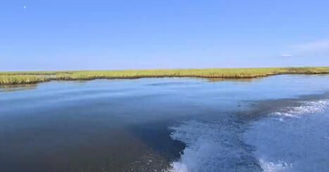 Louisiana scraps coastal erosion project designed to rebuild the state's wetlands - CBS News | Remotely Piloted Systems | Scoop.it