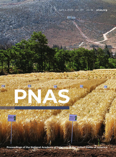 PNAS SPECIAL FEATURE "Harnessing Crop Diversity" | Plant and Seed Biology | Scoop.it