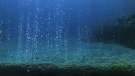 Pacific Ocean takes perilous turn | Sea Change | The Seattle Times | @The Convergence of ICT, the Environment, Climate Change, EV and HEV Transportation & Distributed Renewable Energy | Scoop.it