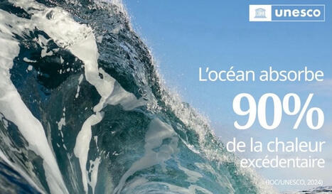 Protection océan : l'UNESCO étend ses programmes éducatifs | Veille Éducative - L'actualité de l'éducation en continu | Scoop.it