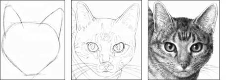 how to draw a realistic cat step by step