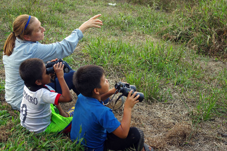 How 'Slow Looking' Can Help Students Develop Skills Across Disciplines  | Rainforest CLASSROOM | Scoop.it