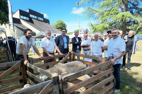 MEYMAC. « Le marché se porte plutôt bien » | Actualité Bétail | Scoop.it