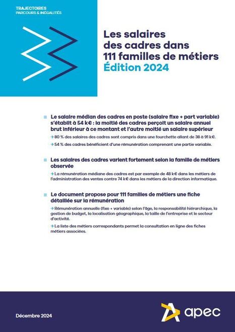 Les salaires des cadres dans 111 familles de métiers - Édition 2024 | ACTUALITES EN ORIENTATION ET INSERTION PROFESSIONNELLE | Scoop.it