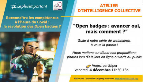 [Replay webinaire] "Open badges : avancer oui, mais comment ?" ! | Formation : Innovations et EdTech | Scoop.it