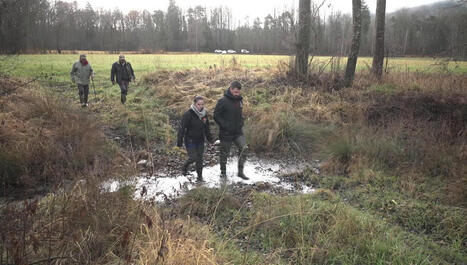 VID&Eacute;O - "Il faut qu'ils puissent survivre" : entretenir les petits cours d'eau devient un enjeu pour la biodiversit&eacute; | Elevage et environnement | Scoop.it