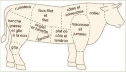 Rayon boucherie : une dénomination plus compréhensible et donc plus pratique pour des consommateurs peu connaisseurs | Veille Éducative - L'actualité de l'éducation en continu | Scoop.it