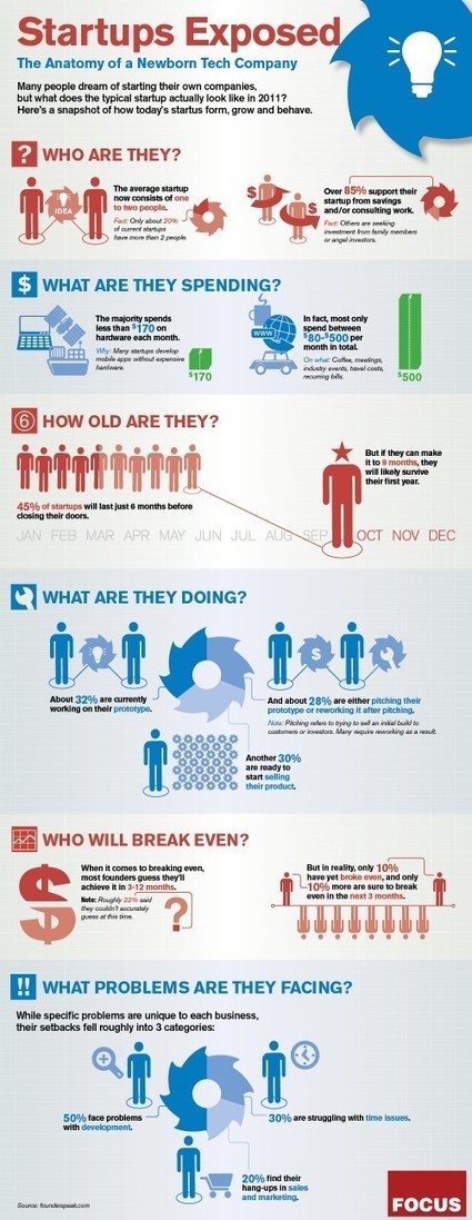 Infographie : Anatomie des startupers et des jeunes entreprises innovantes | Innovation Sociale et Entrepreneuriat Social | Scoop.it