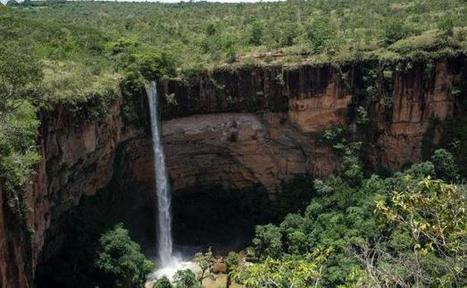 La biopiraterie dans le viseur du projet de loi sur la biodiversit&eacute; | Biodiversit&eacute; | Scoop.it