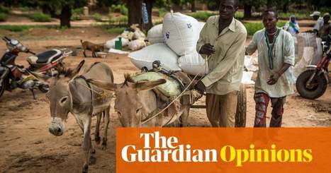 How do we feed the world without destroying it? | Bob Geldof | Global development | The Guardian | Stage 5 Sustainable Biomes | Scoop.it