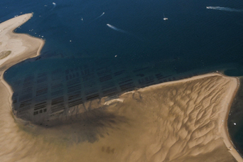 Comment le Cap Ferret disparaît sous l'effet de l'érosion | GREENEYES | Scoop.it