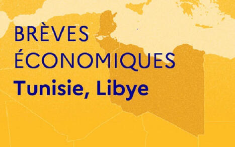 Br&egrave;ves &eacute;conomiques de Tunisie et de Libye - Semaine du 31 ao&ucirc;t 2026 | Revue de Presse Afrique francophone par Service International de CCI Normandie | Scoop.it