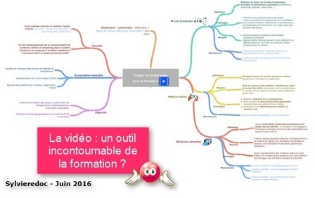 3 types de format vid&eacute;o pour la formation | Contenu pour mon Blog | Scoop.it