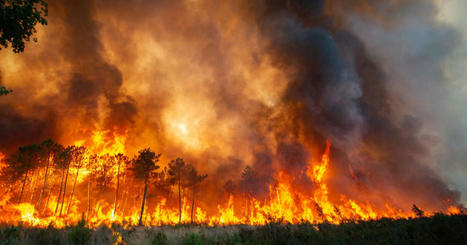 L’Europe occidentale toujours en proie à la canicule et aux incendies | Biodiversité | Scoop.it