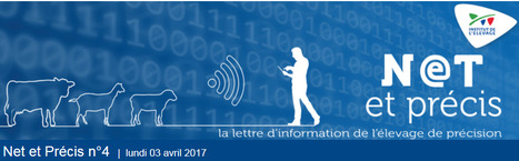Net et Précis n°4 - La lettre d'information de l'élevage de précision | Elevage et numérique | Scoop.it