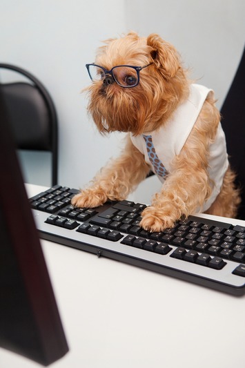 9 Online Gold Mines for Finding Paid Freelance Writing Jobs | Readin', 'Ritin', and (Publishing) 'Rithmetic | Scoop.it