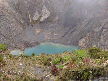 Qu’est-ce que la Liste Rouge des Écosystèmes? IUCN Red List | Biodiversité | Scoop.it