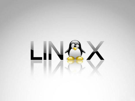 Patch Linux now, Google, Red Hat warn, over critical glibc bug | CyberSecurity | Updates | ICT Security-Sécurité PC et Internet | Scoop.it
