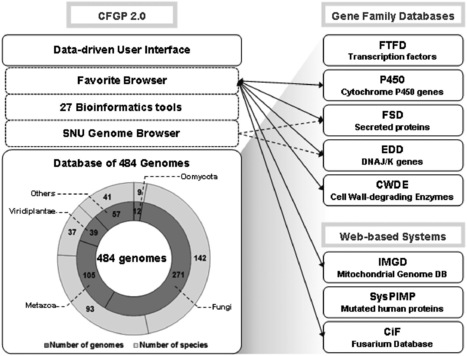 Nucleic Acids Research: CFGP 2.0: a versatile web-based platform for supporting comparative and evolutionary genomics of fungi and Oomycetes (2012) | Plant Pathogenomics | Scoop.it